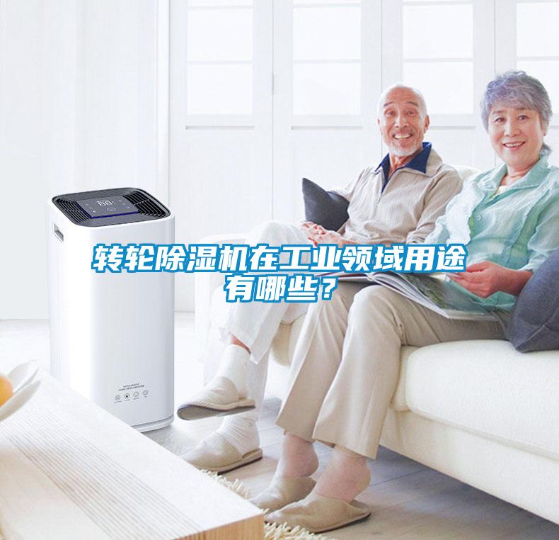 轉(zhuǎn)輪除濕機在工業(yè)領(lǐng)域用途有哪些？