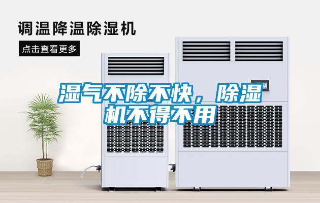 濕氣不除不快，除濕機不得不用