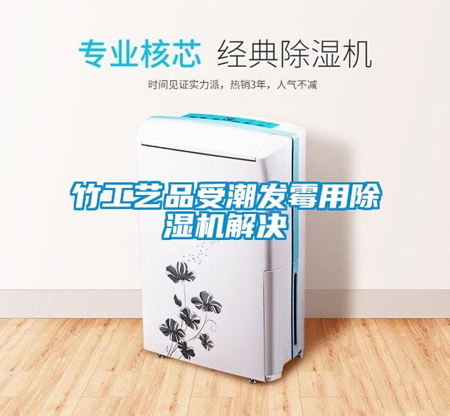竹工藝品受潮發霉用除濕機解決