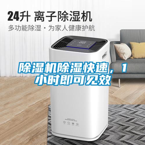除濕機(jī)除濕快速，1小時(shí)即可見(jiàn)效