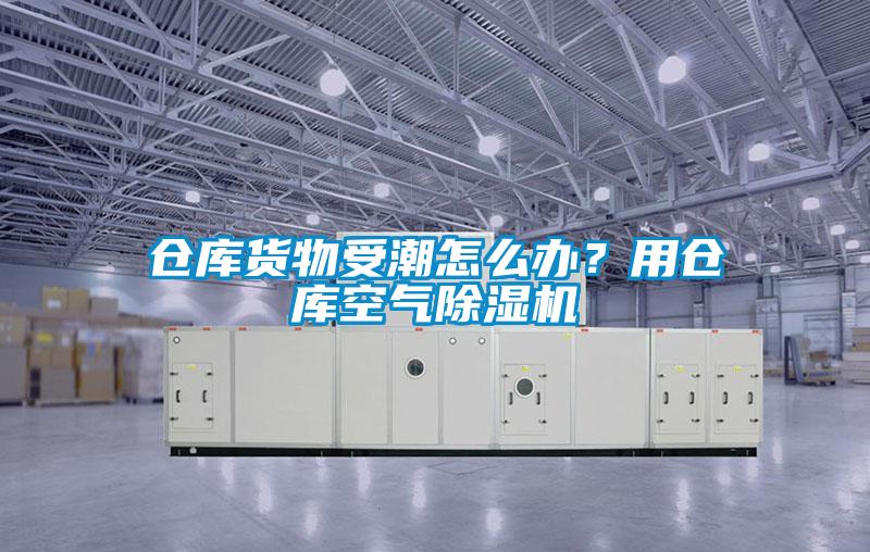 倉庫貨物受潮怎么辦？用倉庫空氣除濕機