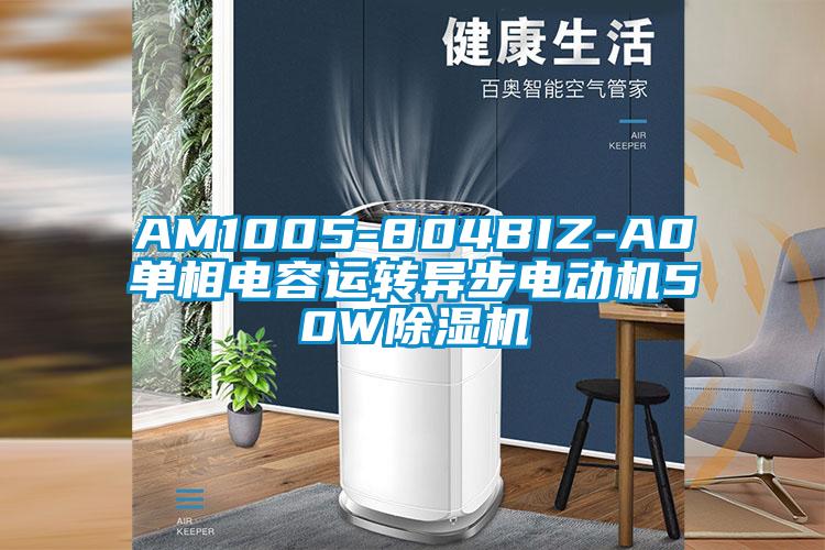 AM1005-804BIZ-A0單相電容運轉異步電動機50W除濕機