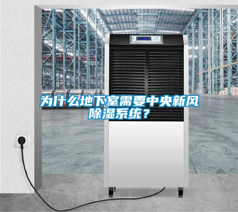 為什么地下室需要中央新風除濕系統？