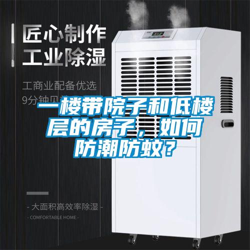 一樓帶院子和低樓層的房子，如何防潮防蚊？