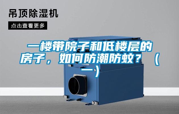 一樓帶院子和低樓層的房子，如何防潮防蚊？（一）