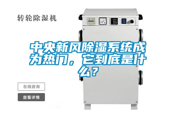 中央新風除濕系統(tǒng)成為熱門，它到底是什么？