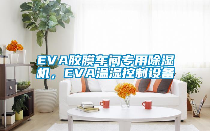 EVA膠膜車(chē)間專(zhuān)用除濕機(jī)，EVA溫濕控制設(shè)備