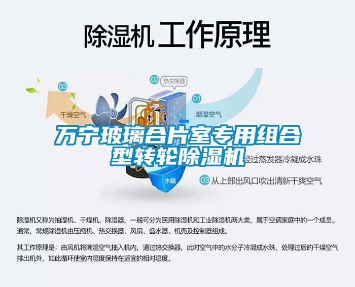 萬寧玻璃合片室專用組合型轉輪除濕機