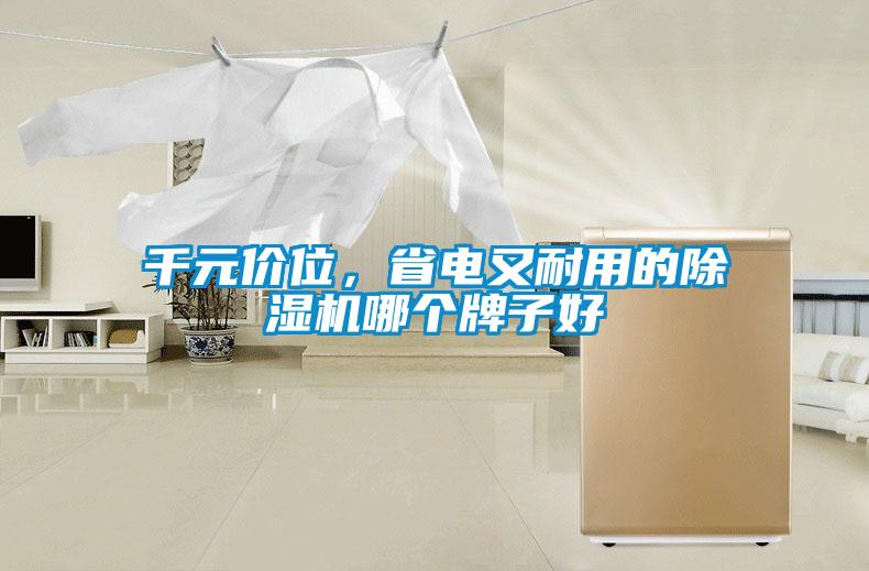 千元價位，省電又耐用的除濕機哪個牌子好