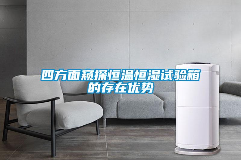 四方面窺探恒溫恒濕試驗箱的存在優勢