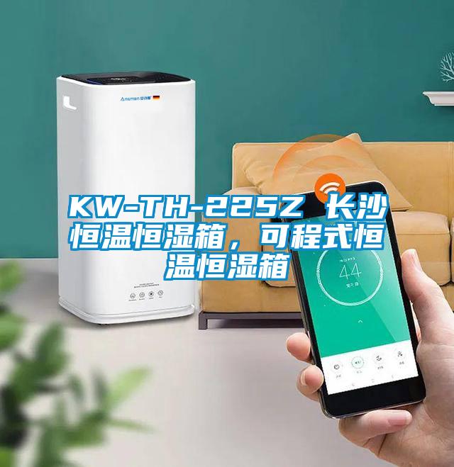 KW-TH-225Z 長沙恒溫恒濕箱，可程式恒溫恒濕箱