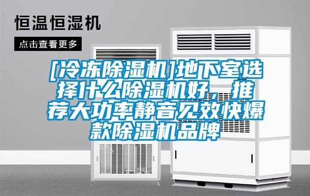 [冷凍除濕機]地下室選擇什么除濕機好，推薦大功率靜音見效快爆款除濕機品牌