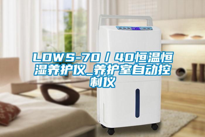 LDWS-70／40恒溫恒濕養護儀_養護室自動控制儀