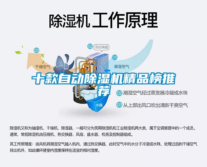 十款自動(dòng)除濕機(jī)精品榜推薦