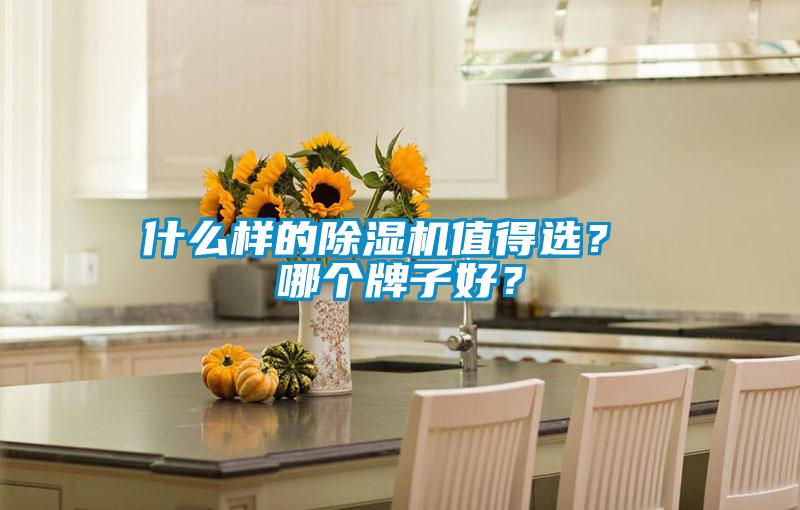 什么樣的除濕機值得選？ 哪個牌子好？