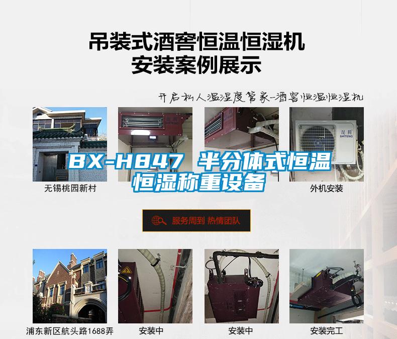 BX-H847 半分體式恒溫恒濕稱重設備