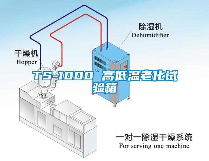 TS-1000 高低溫老化試驗箱