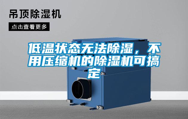 低溫狀態無法除濕，不用壓縮機的除濕機可搞定