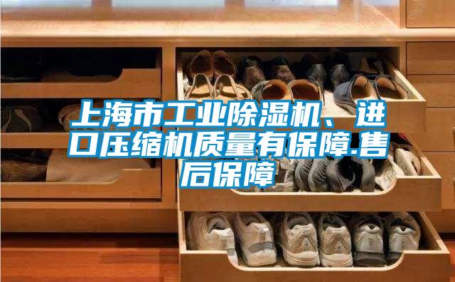 上海市工業除濕機、進口壓縮機質量有保障.售后保障