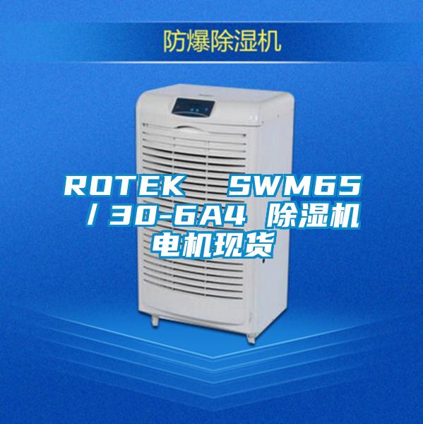 ROTEK  SWM65／30-6A4 除濕機電機現貨
