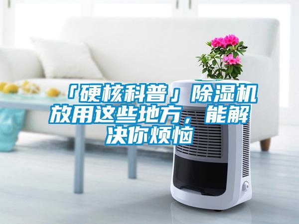 「硬核科普」除濕機放用這些地方，能解決你煩惱
