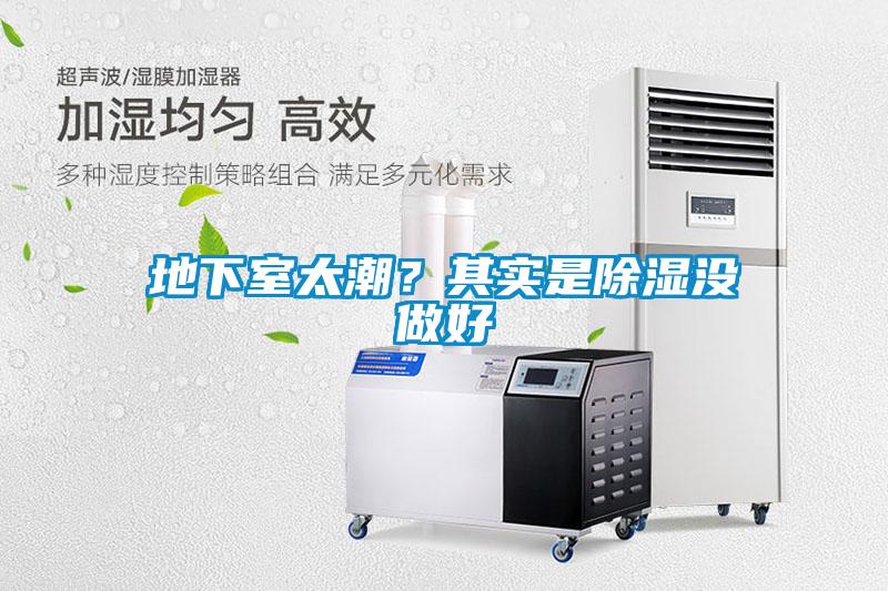 地下室太潮？其實是除濕沒做好