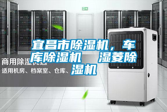 宜昌市除濕機(jī)，車庫(kù)除濕機(jī)  濕菱除濕機(jī)