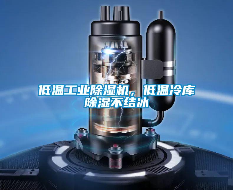 低溫工業(yè)除濕機(jī)，低溫冷庫(kù)除濕不結(jié)冰