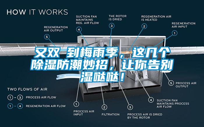 又雙叒到梅雨季，這幾個除濕防潮妙招，讓你告別濕噠噠！