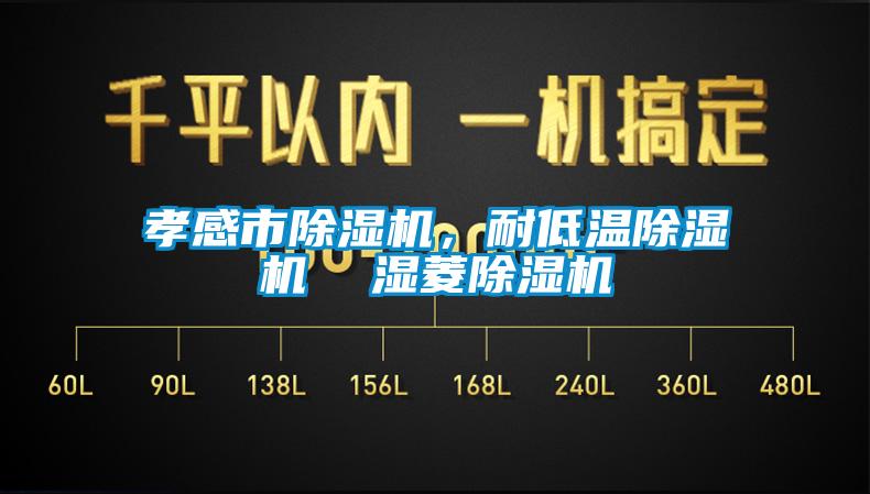 孝感市除濕機，耐低溫除濕機  濕菱除濕機