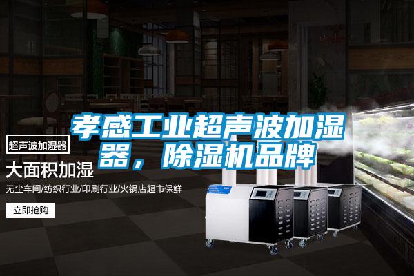 孝感工業超聲波加濕器，除濕機品牌