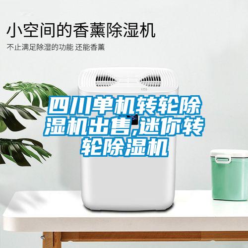 四川單機轉輪除濕機出售,迷你轉輪除濕機