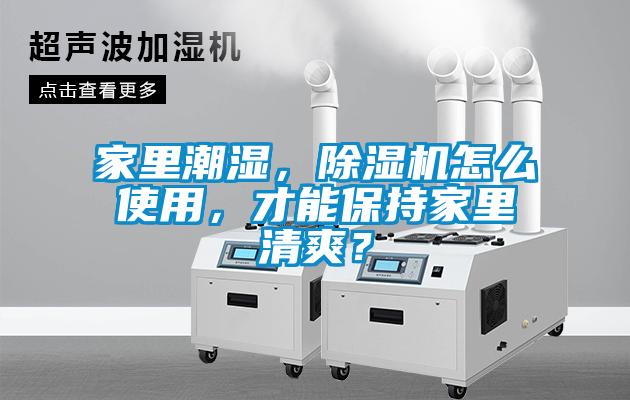 家里潮濕，除濕機怎么使用，才能保持家里清爽？