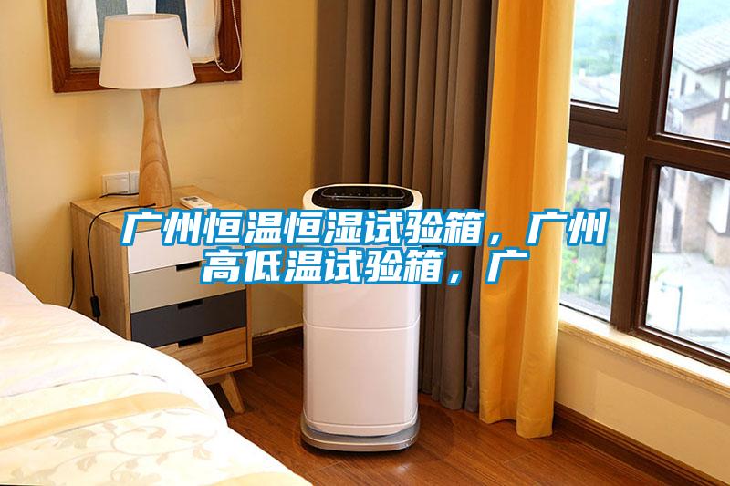 廣州恒溫恒濕試驗(yàn)箱，廣州高低溫試驗(yàn)箱，廣