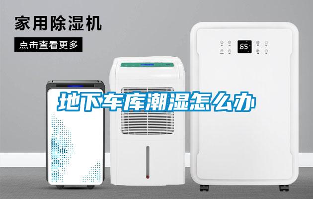 地下車(chē)庫(kù)潮濕怎么辦