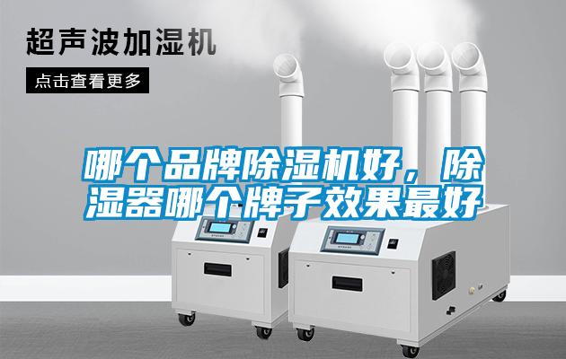 哪個品牌除濕機好，除濕器哪個牌子效果最好