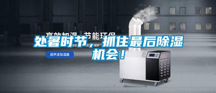處暑時(shí)節(jié)，抓住最后除濕機(jī)會(huì)！