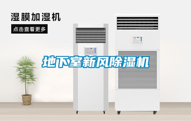 地下室新風除濕機