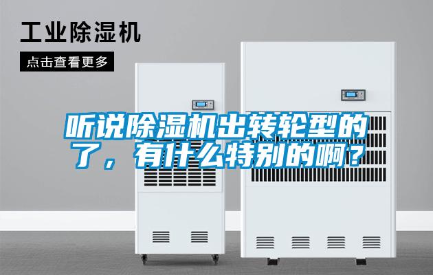 聽(tīng)說(shuō)除濕機(jī)出轉(zhuǎn)輪型的了，有什么特別的啊？
