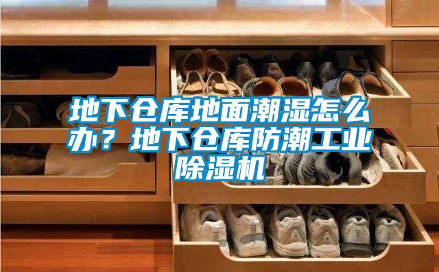 地下倉庫地面潮濕怎么辦?地下倉庫防潮工業除濕機
