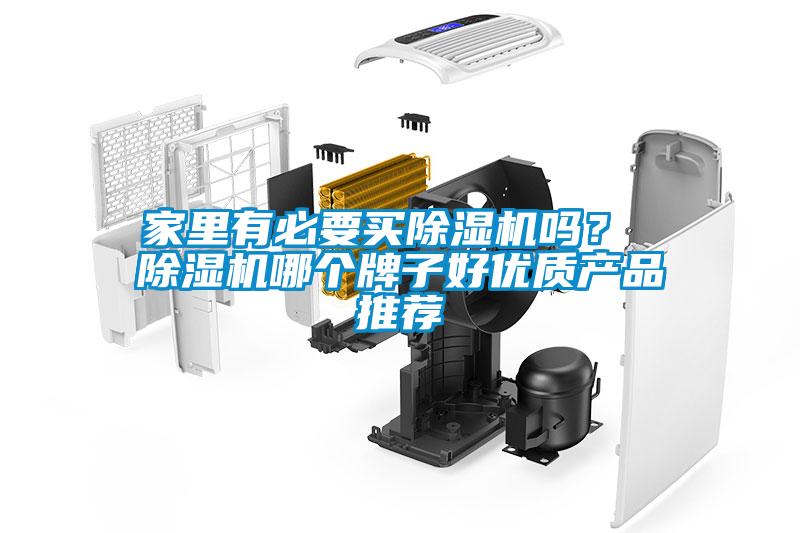 家里有必要買除濕機嗎？ 除濕機哪個牌子好優質產品推薦