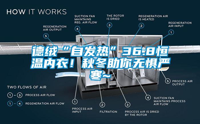 德絨“自發熱”36.8恒溫內衣！秋冬助你無懼嚴寒~