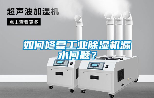 如何修復工業除濕機漏水問題？