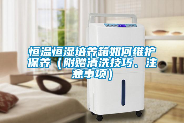 恒溫恒濕培養箱如何維護保養（附贈清洗技巧、注意事項）