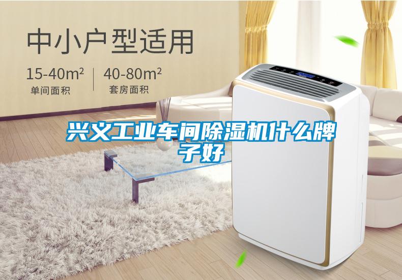 興義工業車間除濕機什么牌子好
