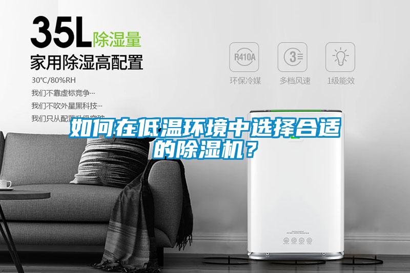如何在低溫環(huán)境中選擇合適的除濕機(jī)？