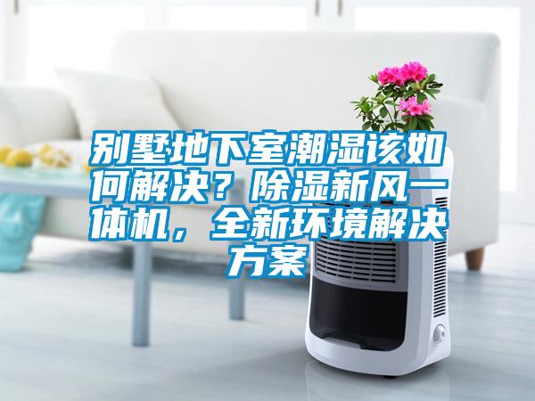 別墅地下室潮濕該如何解決？除濕新風(fēng)一體機(jī)，全新環(huán)境解決方案