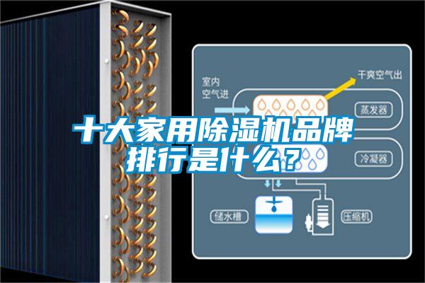十大家用除濕機(jī)品牌排行是什么？
