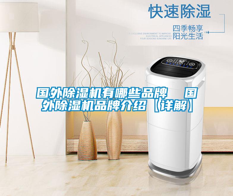 國外除濕機有哪些品牌 國外除濕機品牌介紹【詳解】