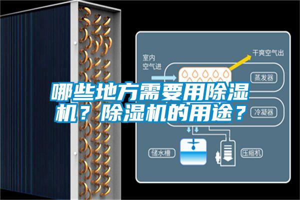 哪些地方需要用除濕機？除濕機的用途？